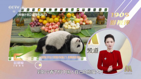 国内精品久久久久久影院8f